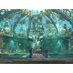 Empress Of The Deep 2: Song Of The Blue Whale Steam CD Key