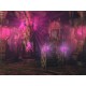 Empress Of The Deep 2: Song Of The Blue Whale Steam CD Key
