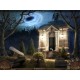 Voodoo Whisperer Curse of a Legend PC Steam CD Key