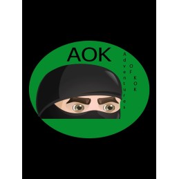 AOK Adventures Of Kok Steam CD Key