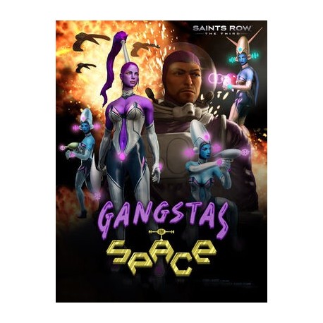 Saints Row: The Third - Gangstas in Space DLC Steam CD Key