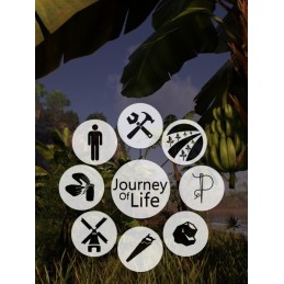 Journey of Life PC Steam CD Key