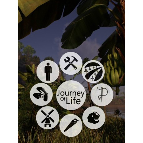 Journey of Life PC Steam CD Key