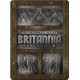 Total War Saga: Thrones of Britannia RU/CIS PC Steam CD Key