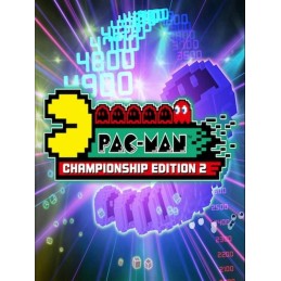 PAC-MAN Championship Edition 2 RU VPN Activated Steam CD Key