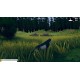 Wild Wolf Steam CD Key