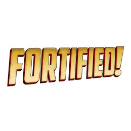 Fortified EU Steam CD Key