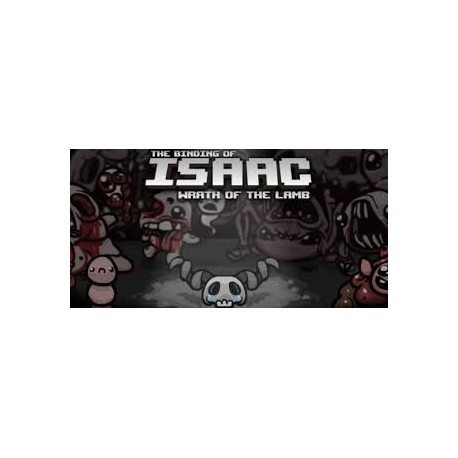 The Binding of Isaac + Wrath of the Lamb DLC PC Steam CD Key