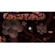 Systematic Immunity Steam CD Key