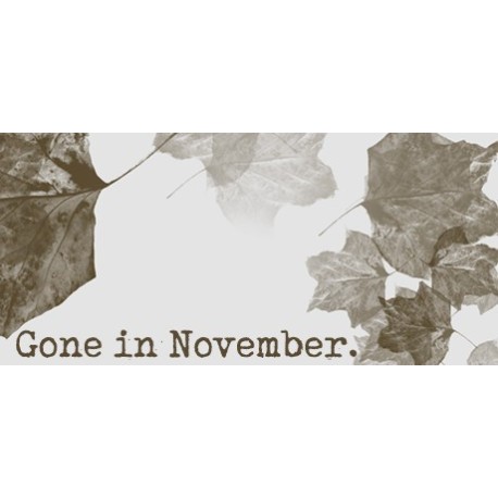 Gone In November PC Steam CD Key