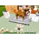 Paws and Claws: Pet Vet Steam CD Key