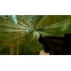 Girl Amazon Survival Steam CD Key
