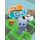 Suzy Cube Steam CD Key