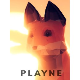 PLAYNE : The Meditation Game Steam CD Key