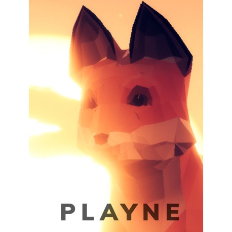 PLAYNE : The Meditation Game Steam CD Key