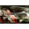 Steampunker Steam CD Key