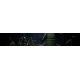 Abyss Cave Steam CD Key