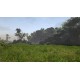 Risen 2: Dark Waters PC Steam CD Key