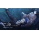 Hakuoki: Edo Blossoms - Deluxe Pack DLC Steam CD Key
