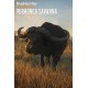 theHunter: Call of the Wild - Vurhonga Savanna DLC Steam CD Key