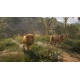 theHunter: Call of the Wild - Vurhonga Savanna DLC Steam CD Key