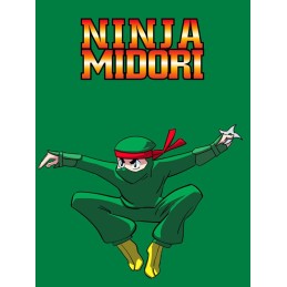 Ninja Midori Steam CD Key