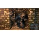 Legend of Grimrock PC Steam CD Key