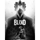Blind VR Steam CD Key