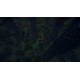 The Amazonian Dread Steam CD Key
