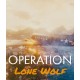 Operation Lone Wolf Steam CD Key