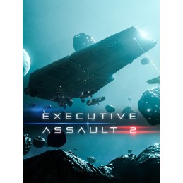 Executive Assault 2 Steam Altergift