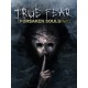 True Fear: Forsaken Souls Part 2 PC Steam CD Key