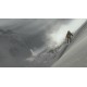 Steep PC Steam Altergift