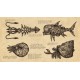 Earth Atlantis Steam CD Key