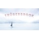 Truberbrook PC Steam CD Key