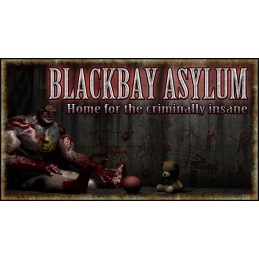 Blackbay Asylum US Steam CD Key