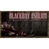 Blackbay Asylum US Steam CD Key