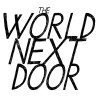The World Next Door Steam CD Key