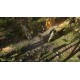 Wolcen: Lords of Mayhem EU PC Steam Altergift