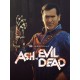 Dead by Daylight - Ash vs Evil Dead DLC Steam Altergift