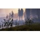 BIGFOOT EU PC Steam Altergift