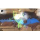 Procyon Steam CD Key
