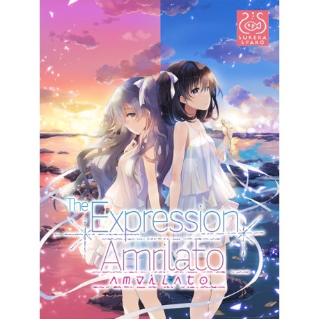 The Expression Amrilato PC Steam CD Key