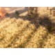 Grim Dawn EU PC Steam Altergift