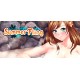 Summer Fling Steam CD Key